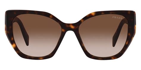 Prada PR 19ZS Square Sunglasses 